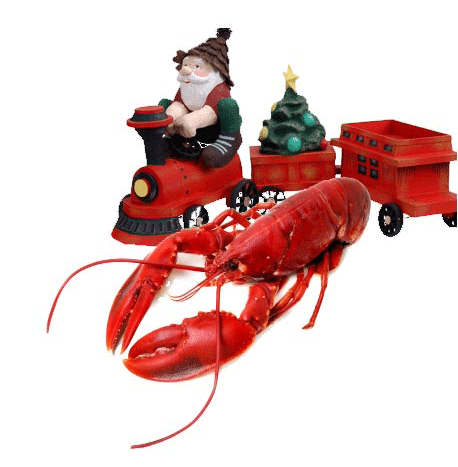 lobsterxmasfinal.gif